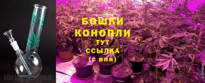 Канабис Bruce Banner  Николаевск-на-Амуре 